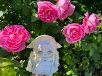 https://images.plurk.com/451xBvRShASI6VUk815z6W.jpg
