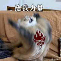 https://images.plurk.com/452BaujxUppiazx7VHPUCs.jpg