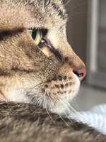 https://images.plurk.com/456dCFxNfyg0Eh0Gx7Tt3B.jpg