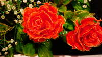 https://images.plurk.com/45F8ktHvfsgd54d4ftaUVr.jpg