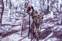 https://images.plurk.com/45Fjn90f8x7NnKjubbm6xB.jpg