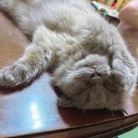 https://images.plurk.com/45GPQKpySPRf4tkohPoAv9.jpg