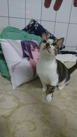 https://images.plurk.com/45SJerV5R6F61I2UezUoTD.jpg