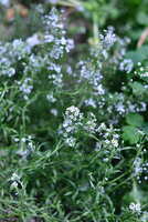 https://images.plurk.com/45Utlr7PyHCP4ogcMMPfIs.jpg