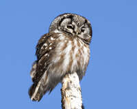 https://images.plurk.com/45Uvc7eAbrFoY4wljn6Gz9.jpg
