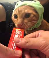 https://images.plurk.com/45XKdDJNyYeXLGBH5MVdTa.jpg