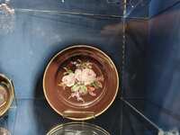 https://images.plurk.com/45dgf2x2CWgAjXdupm5Y9I.jpg