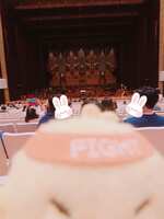 https://images.plurk.com/45fj0m1mc8DCcwYq9NReQB.jpg