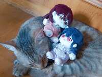 https://images.plurk.com/45w42Bnar13sIha09L2pCy.jpg