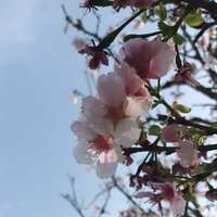 https://images.plurk.com/466diqU36068RJ1JhYEqXJ.jpg