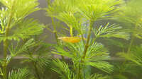 https://images.plurk.com/46AYiU3TncO9p6zP3qbwfp.jpg