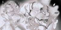 https://images.plurk.com/46BbXR310bcuH0LqHtR3Fq.png