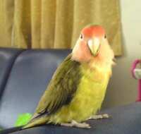 https://images.plurk.com/46Q2hAwtQnNOj0DFJIf4ME.jpg
