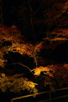 https://images.plurk.com/46RgNlT9qidG9XGZEf8OLn.jpg