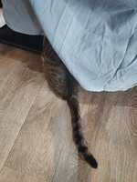 https://images.plurk.com/46T7bqLq3RQ6EVKFQW9z3W.jpg