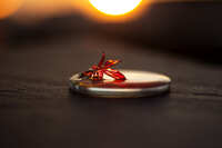 https://images.plurk.com/46i5C54x9EVCmtt1XjCTbL.jpg