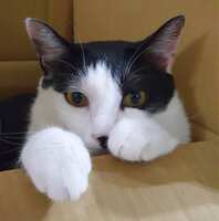 https://images.plurk.com/46mnF34907ItzDUXmOI0XW.jpg