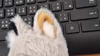 https://images.plurk.com/46wzfgoMWc97WzJYRVpZz7.jpg