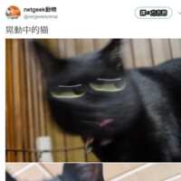 https://images.plurk.com/477CiVS21DKpJv9CrOJAt.png
