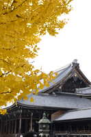 https://images.plurk.com/479E2M2pIAm5H4a9NB0hrR.jpg