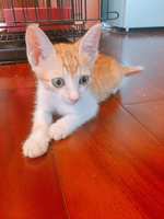 https://images.plurk.com/47C4FoVnOlQA7a7qapt4Vx.jpg