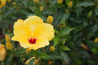 https://images.plurk.com/47LkRfYM65T7vxOgHuGGyL.jpg