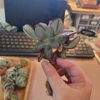 https://images.plurk.com/47MSrkB4T3rChzPbEEZqzg.jpg