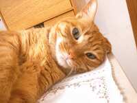https://images.plurk.com/47VFlJJzKva0JHFq2b7Lbi.jpg