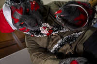 https://images.plurk.com/47d0lfYtxsrl595DLxDhqD.jpg