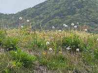 https://images.plurk.com/47fff9s4H2rRmIyEL40iRj.jpg