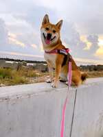 https://images.plurk.com/47hK37MN40wMzQdQrApfu3.jpg