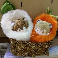 https://images.plurk.com/47heMNslKZ2zoYShsboQ83.jpg
