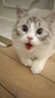 https://images.plurk.com/47kBwJymQXdtqyIC7odmwK.jpg
