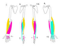 https://images.plurk.com/47u6AFkSinaK4fqjBBoC2K.jpg
