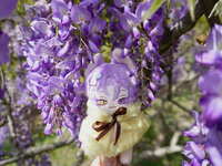 https://images.plurk.com/47uHFlXoYhrXekBqp6Jpxj.jpg