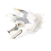https://images.plurk.com/47xVWTv8a3cQ3tjBmE76LR.png