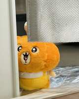 https://images.plurk.com/47ykTChyFfVmtvqAH8qOp8.jpg