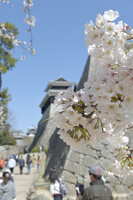 https://images.plurk.com/482m269JuvO6wJGXhRq02C.jpg