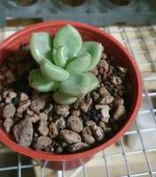 https://images.plurk.com/483J6pFcLiui2av6fHFdZg.jpg