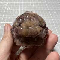 https://images.plurk.com/486NoMlj6PluNMCdjlhkz8.jpg