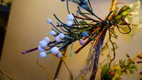 https://images.plurk.com/486hwAwC5sBnxJqNHnDdtd.jpg