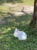 https://images.plurk.com/48DtRCFb4EsEddcOqInrC3.jpg