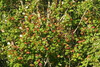 https://images.plurk.com/48MNbJ7GfCYp2movmWONJX.jpg
