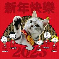 https://images.plurk.com/48N2tJagOtd0EGf4eg8dmY.jpg