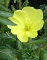 https://images.plurk.com/48QphkEMNAwC5vF7crUyvQ.jpg