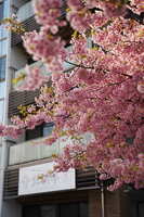 https://images.plurk.com/48S5OJrVRTxMXBxmSjHDC.jpg