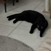 https://images.plurk.com/48TXJwJHxNCrpGWI6nsmeq.png
