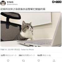 https://images.plurk.com/48UGfjRMt0jthN921bFhbN.jpg