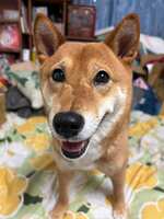 https://images.plurk.com/48bHHUxxp3XOhwMYuwSH3g.jpg