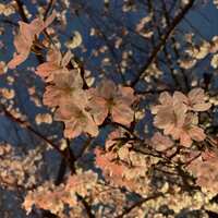 https://images.plurk.com/48c7CyJChKRQr8JwG8cGSD.jpg